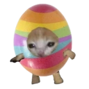 Coin image for DLKtwWCd1dnubYTP9mbJWXoXpy5cqsCKdd3nJv8a5R3C