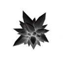 Coin image for DLMeVJrKnBecSubZ5MLMYnYFX3qfkjw9VgvZCZoGtRLr