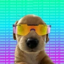 Coin image for DMoGyiwQRiVShST59jj4gwem3vhuLuFFvxhERQrx5mZe