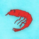 Coin image for DNYgCU1wUjfMjkWmHhr3gSFXtCujfZZFf3xdCtdqbonk