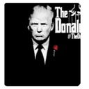 Coin image for DRQ62BwMMrpEaGRLegepyJeFA1TmEY4Zqn3o7jCUHxJK