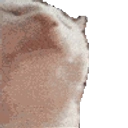 Coin image for DTP8jhcnNPTAQjeUceTKeN1SdDzWEK7Qm6v15iLHsy5L