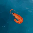 shrimp
