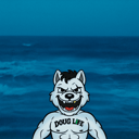 Coin image for DZKRseTN9YPWZaBqtUAb5uZdoUYvRUQK3hVD3wwkEVRY