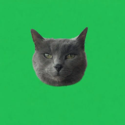 Coin image for Da2MLJKbKWqyjYCRCKyCKL5rt899MvgghK8owisdpump