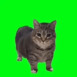 Coin image for Dac16UxKksZhSVdJ36KyaWj6AGMAjDTNgebTJW4Lpump