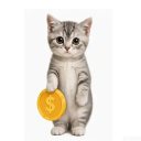 Coin image for DdFGQSfqjZioKfahFmbbmq1wHregtN3njwNkCRdGXaHg