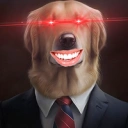 Coin image for DdWVqFmdQpyjdU3AeUSEhrsnJQBPH7iK9xdCFrBgpAy2