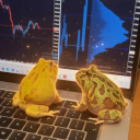 Coin image for DgpkPCEPdpdP4PqyrNpkHHpSViGspEmmE8ytzcaekaEn