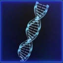 Coin image for DhXoj7Jo2GtRmbXfUCLXskSZSteijWpc3mKmLYAXeDo9