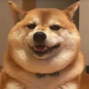 Coin image for DhtU34LfTLBZHPvswBcYgUqXnnFNpN4wkrtuZDLLbonk