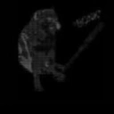 Coin image for Di4CkoYSgCwwKCmuxChqXHwhT8YnjEFcV1P2M3LNbonk