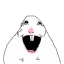 HAMSTER