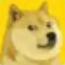 Coin image for DkRN57u3yFASeWYmqmGHTtsESg1iLAcnryVramLfdoge