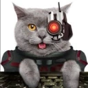 Coin image for DsnionDhRS7sLbF3QwgLmWTnegDDFaVKwmJDDBaSbonk