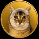 Coin image for DtksQ1kaBoYHxFk8fAwagPGWvSNZ2aWunXvgFRCPd7dT