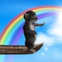auracat