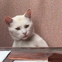 Annoyed