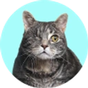Coin image for EEYsTD3fSsXkyycAzcze3oHGnzVaBtwsb1WsgbiNkFFN