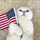 Coin image for EG2xsYUdmW54KGfmAb6KRhh2aWe1z6ZCuE9gCH2nbonk