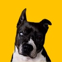 CHOO