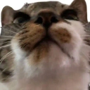 Coin image for ELST1oAp3czkRRRWGeTgttGsEqkD2qjDRJXR4Asmkk5y
