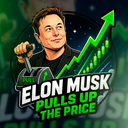Coin image for ELonMuskpuLLSWcngWziW3EFVGmdbNAfTA8TrW15n7Jb