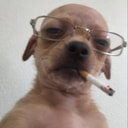 uncdog