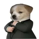 Coin image for EPUVDGT4iRk4eGUXKMTSdF5nnXjHffZzvEBknzALHhKD