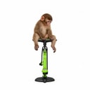 PUMP