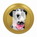 Coin image for EqPpLLmfkwBBFiy7TAzMXZQmLyqGKJCiz8UsNR7nmV9X