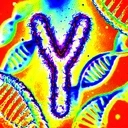 Coin image for F2L4VEvVJtyrND5avoJJBQh3wLeCZvSia6W7qGMdcZ41