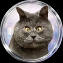 Coin image for F2rnD5meRBxaFWgYTag77kSkjbb9wwSQyqsbycGsbCuf