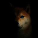 Coin image for FAnDkc4jfztmgXdxJmGP4J9HpgHqv2fZLbnk5te2bonk