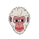 Coin image for FBCo3HG1L4p3YbFRBBBpLKKKs8vBdtaaY9FiMkMpump