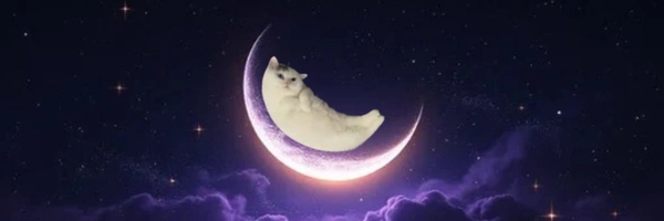 Mooncat Banner