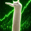 Loongcat