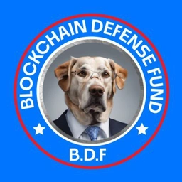 Coin image for FV1TChihfbgYBt8AFhKcpXt3F2zCXhd3r1nXVWn5kmKH