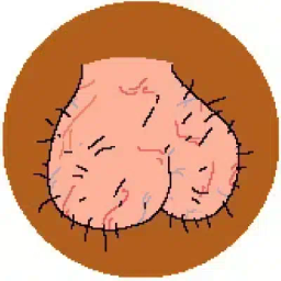 Coin image for FVhqR7tVnCSmcyRNsetp6vf1JCobHyx7bDqgXgaUpump