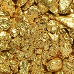 Coin image for FZowurPoTHRmaCXtCyo5C9cZCRFZqvU2us3ZWQLXU3jY