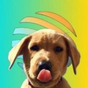 Coin image for FaQYxBQ1XL4QRPViVF2JekJfBtbfs5wcXNqgdgX1XPac