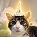 tinfoilcat