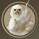 Coin image for FvRwQ5Kk1sioHaCsBhUSoSejjXKg1PWcmsGqh9wxmoon