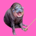 Coin image for G1eSxRrb4uZUt5at68u4RpsmSZnV66gGcZt1hziccuqP