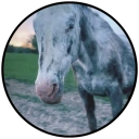 Coin image for G7e4QKAEQhrktTAQQypstPni9GLaBNjtTxsRY8YoX1Vh