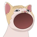 Coin image for GCYoJdV22guEpGLXoq4jPdf8MuNmamSwuqJVHN6u6FnU