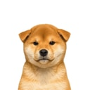 Coin image for GDZb8bjgpmcW3gzdFfWqwzTzXSHVuPZPsjo6aGwkbonk