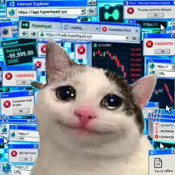 Coin image for GGNmBtwSkwXFvJdvKRAG9ZrhDJCFA7wvv8wpibuoBsRL