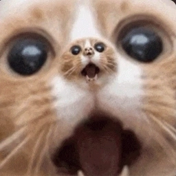 Coin image for GVsXyK5LfrRK2pGDYwtqSHhH5tbDeEFwMbTe1RFYZQPq
