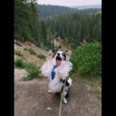 Milo